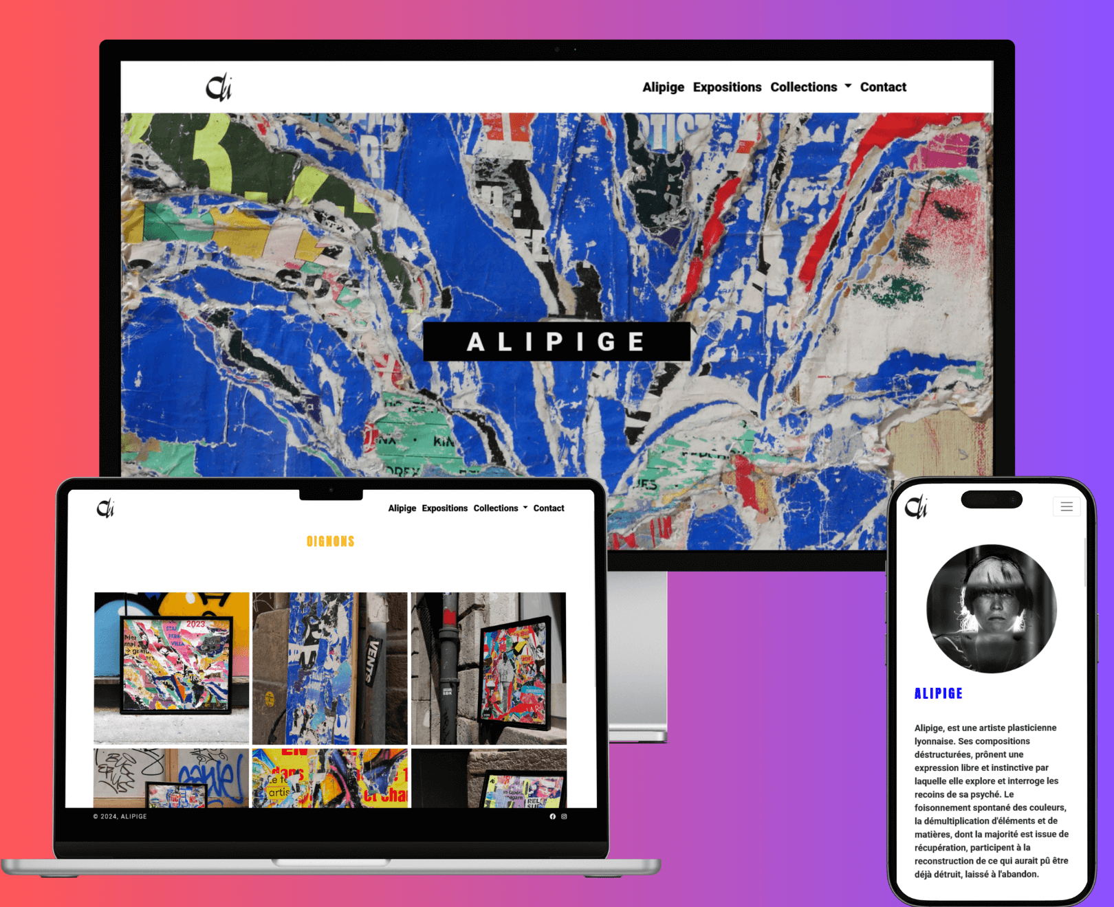 Comparaison 1ere : Site vitrine Alipige